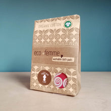 Load image into Gallery viewer, Eco Femme Night Pad - Single