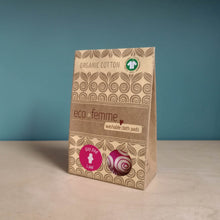 Load image into Gallery viewer, Eco Femme Day Pad - Single