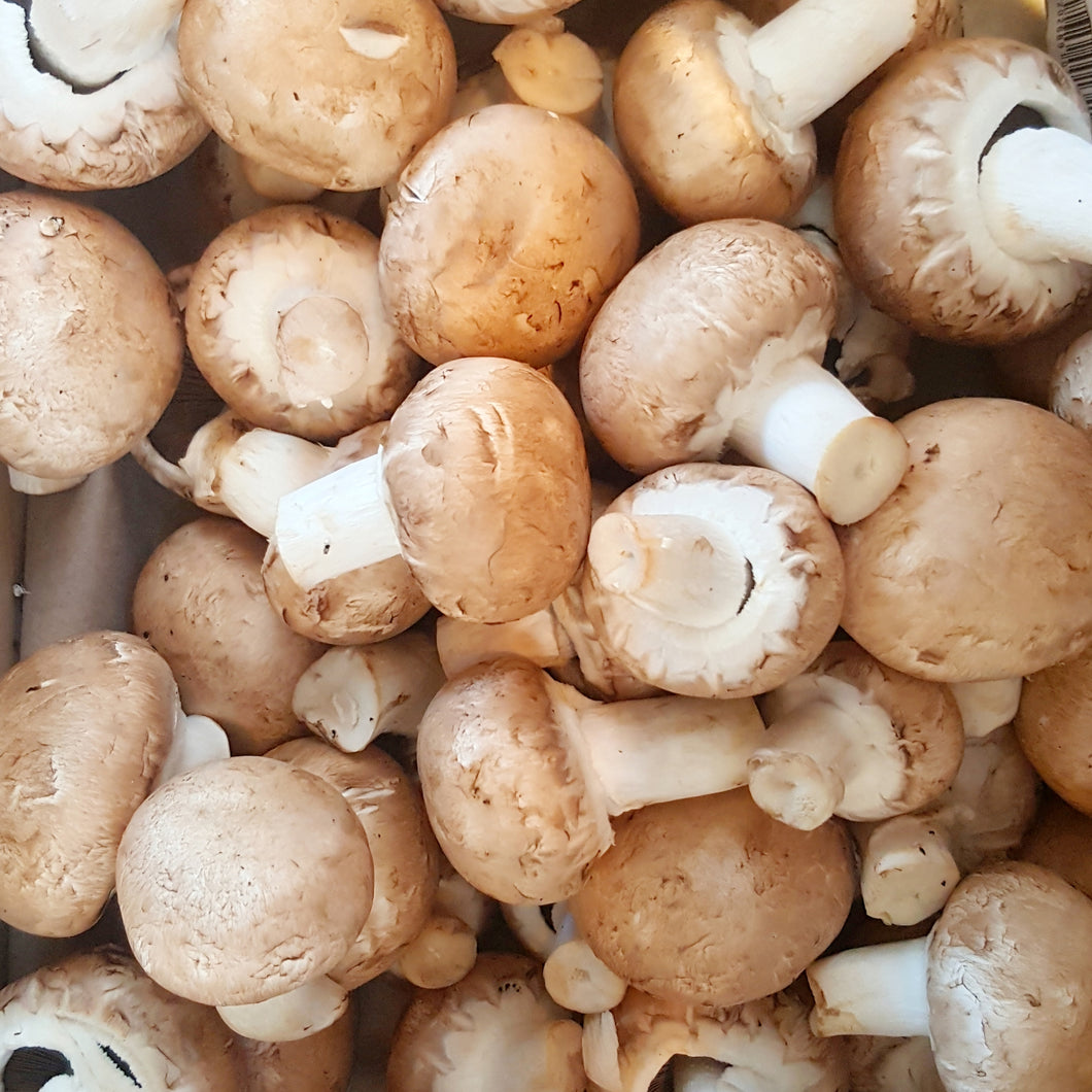 Chestnut Mushrooms