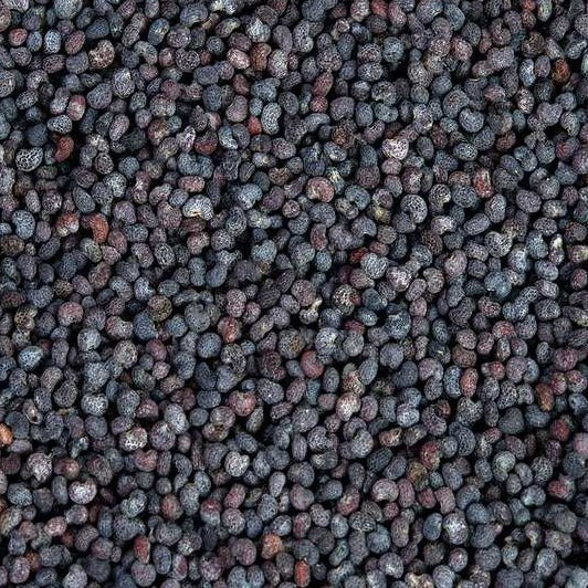 Poppy Seeds (Blue)
