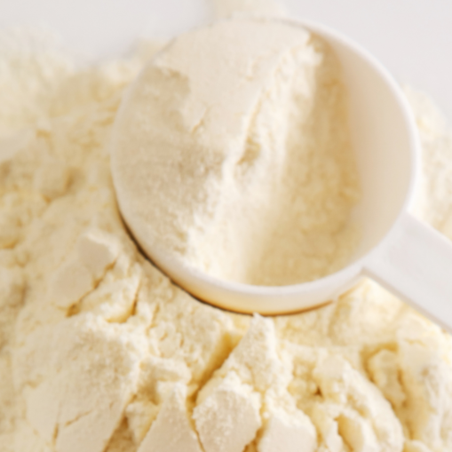Organic Vegan Vanilla Protein Powder
