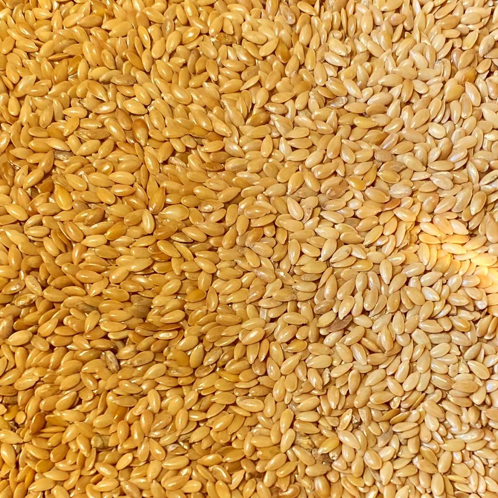 Golden Linseed (Flaxseed)
