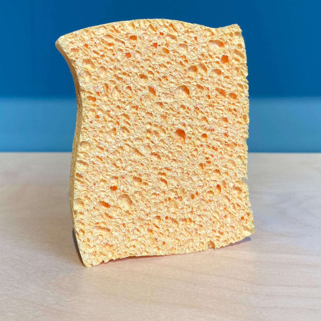 Biodegradable Sponge