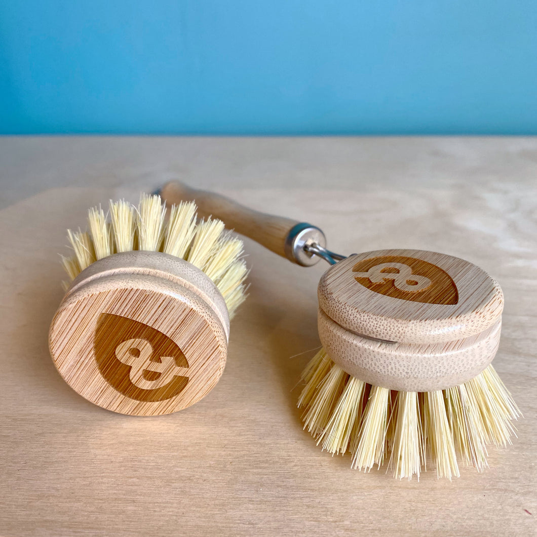 Dishbrush with Replaceable Head